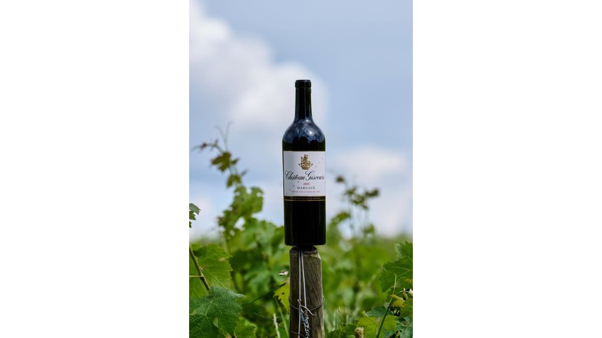 Chateau Giscours (Futures Pre-Sale) 2025 | Wine.com