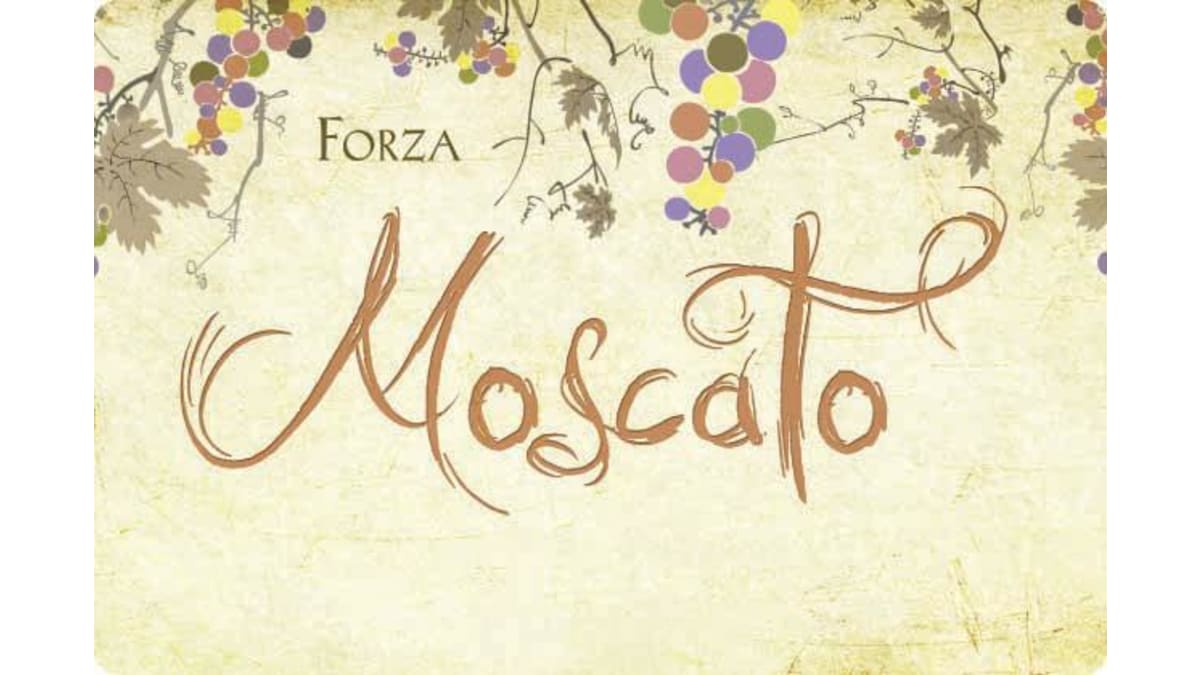 ワイン forza f6xintseuky04houob3b.jpg
