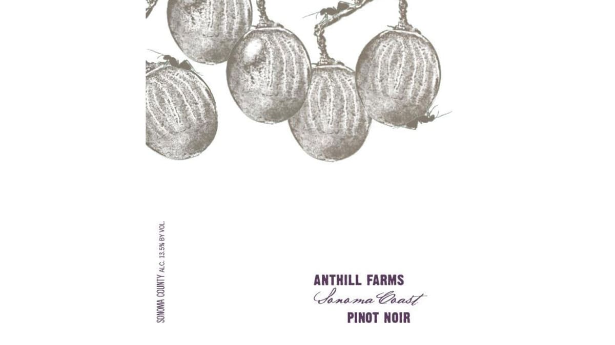 Anthill Farms Sonoma Coast Pinot Noir 2024 | Wine.com