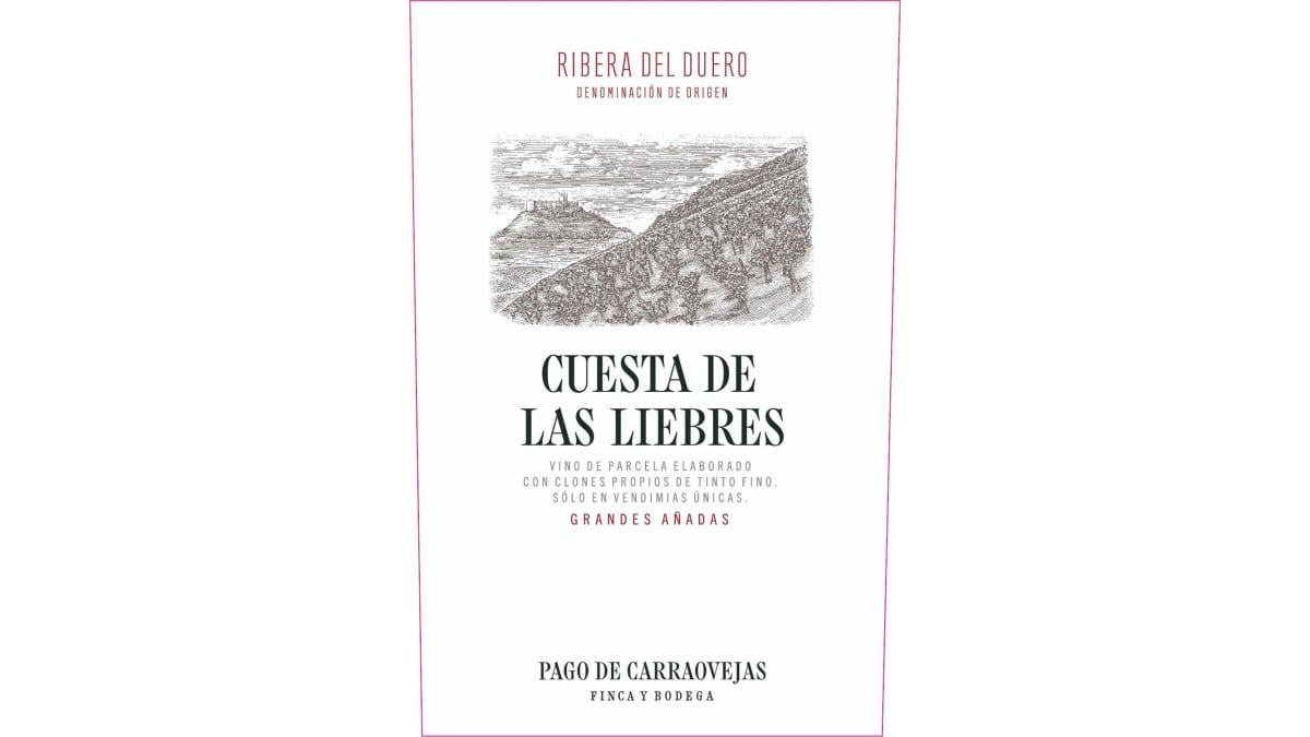 Pago de Carraovejas Cuesta de las Liebres 2020 | Wine.com