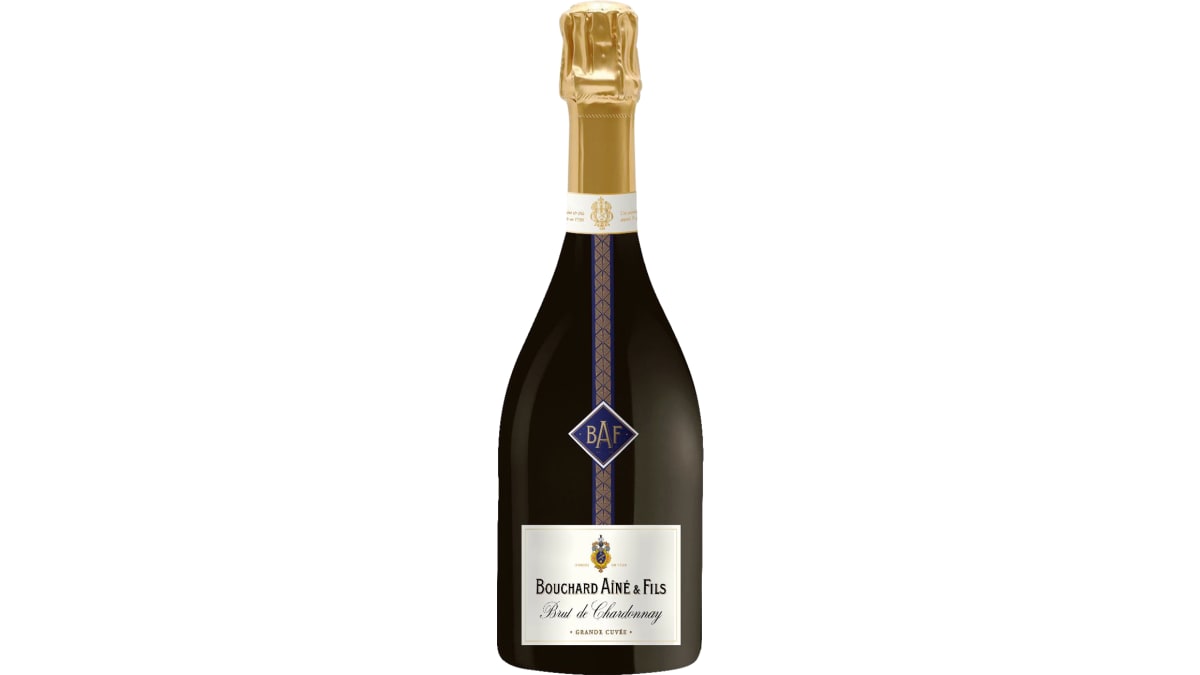 Bouchard Aine & Fils Grand Cuvee Brut | Wine.com