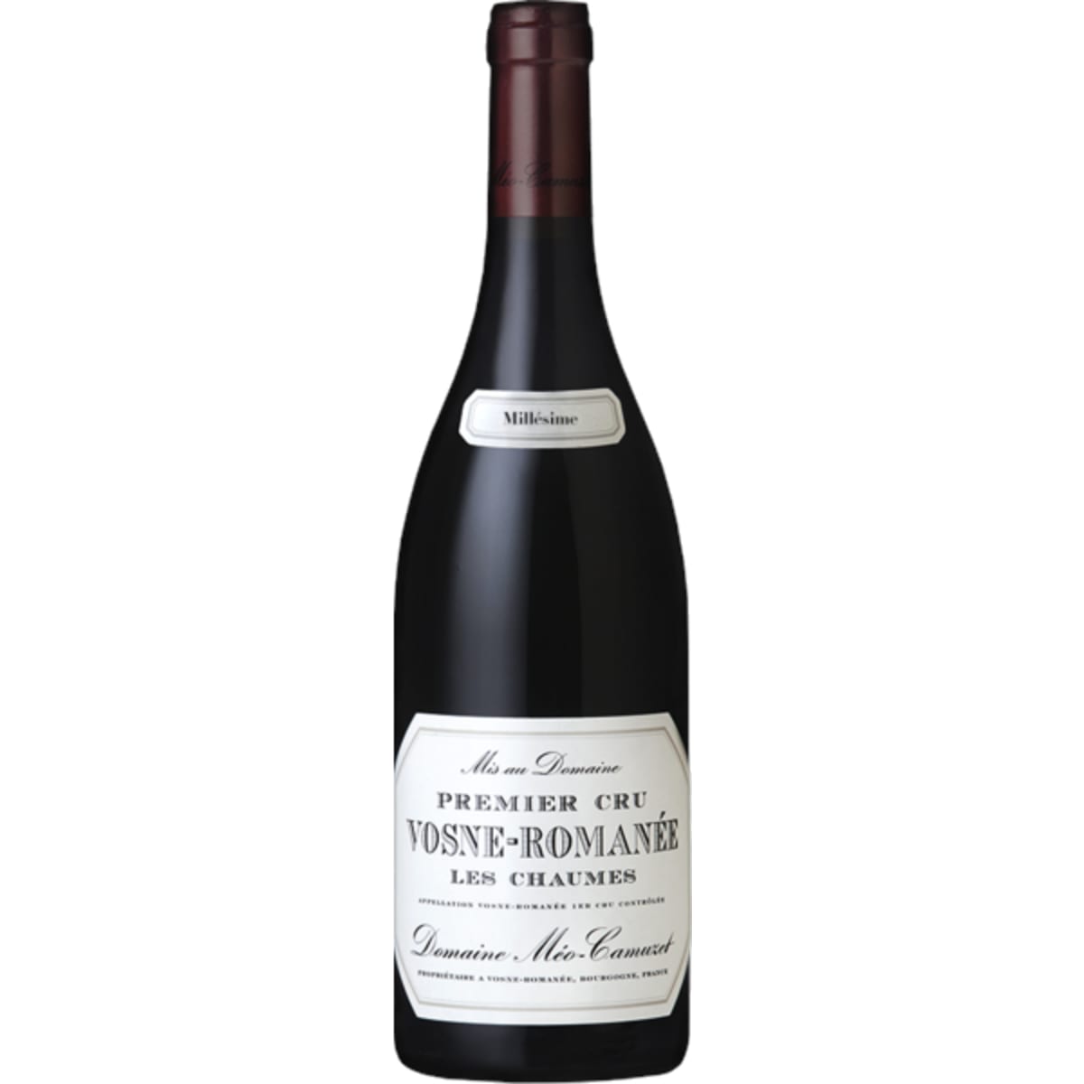 Domaine Meo-Camuzet Vosne-Romanee Les Chaumes Premier Cru 2021