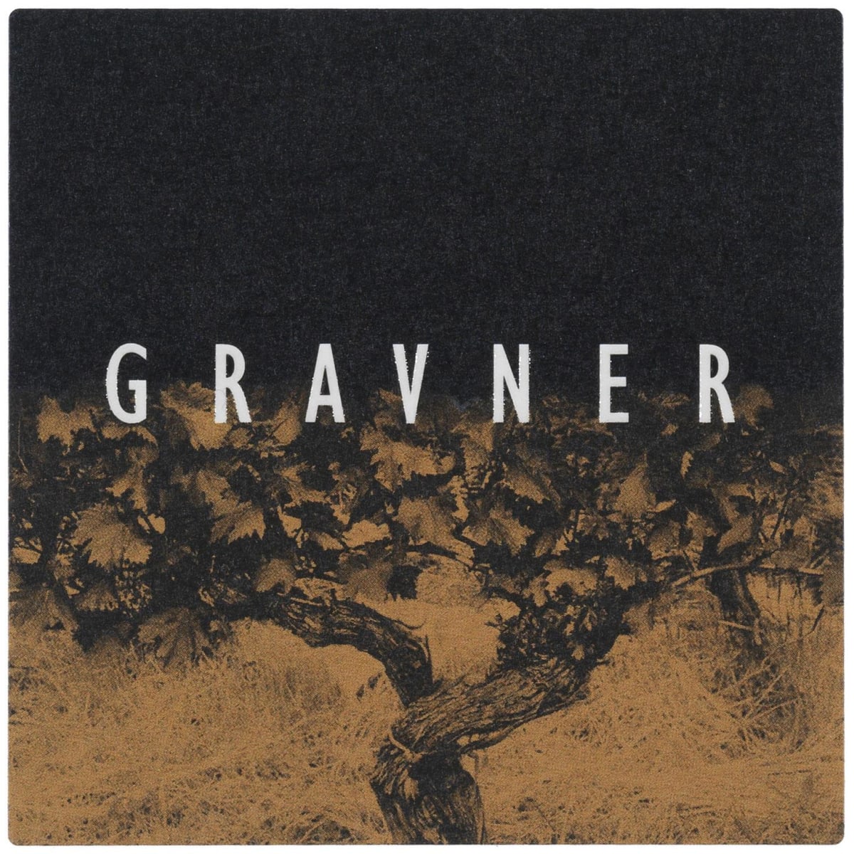 のこり２✩J749＃步摇狐曳( 镭射金)Wines切り売り海外人物マステ女の子 Josko Gravner Venezia Giulia Anfora Ribolla Gialla 2016 | Wine.com