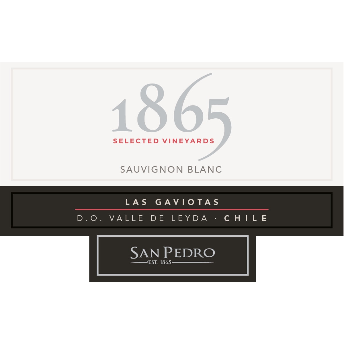 Vina San Pedro 1865 Selected Vineyards Sauvignon Blanc 2021 | Wine.com