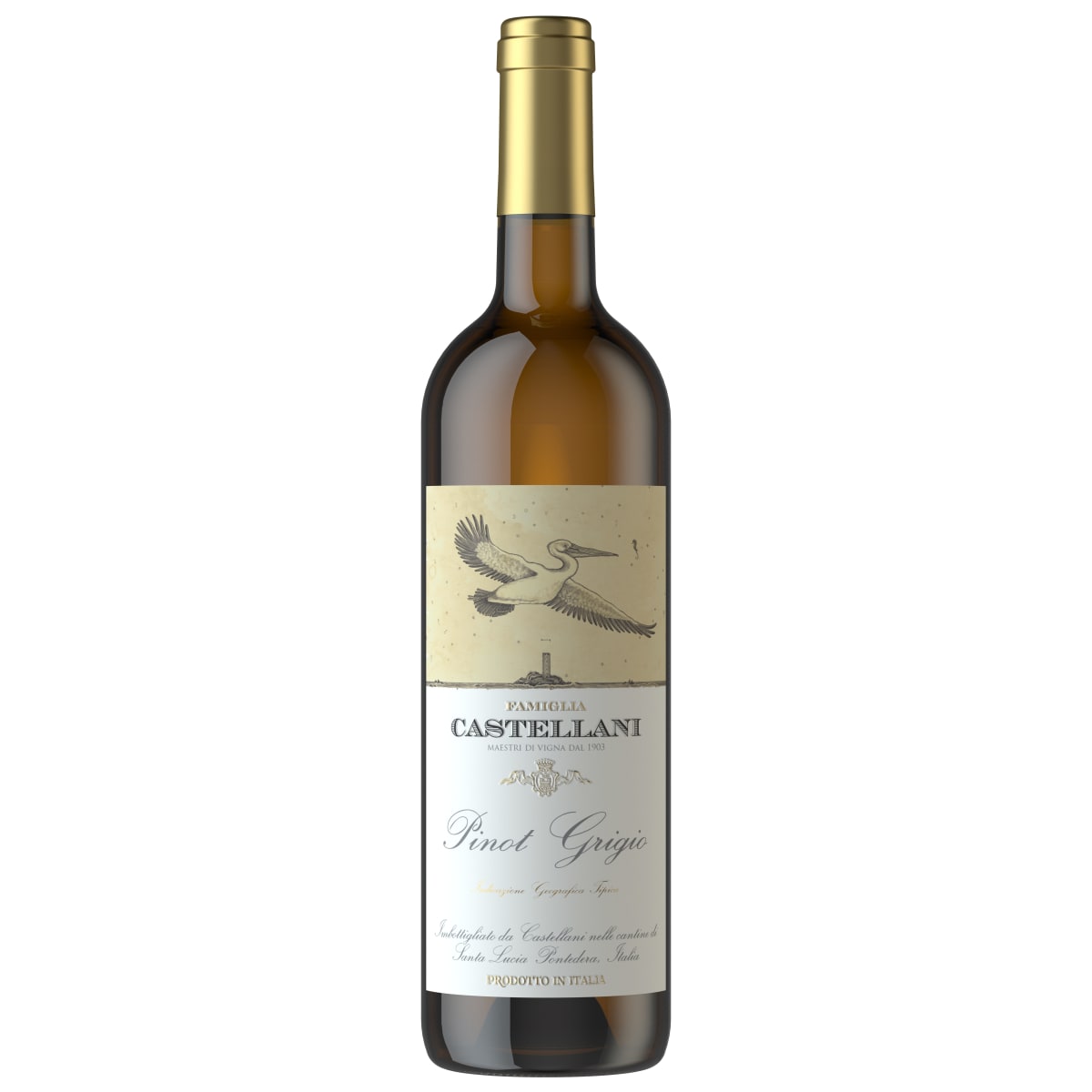 Castellani Pinot Grigio 2025 | Wine.com