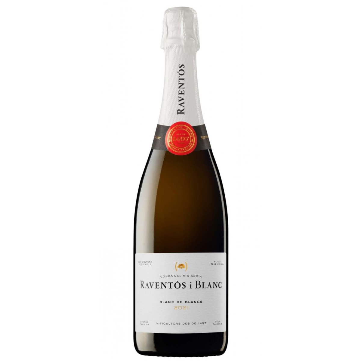 Raventos i Blanc Blanc de Blancs 2021 | Wine.com