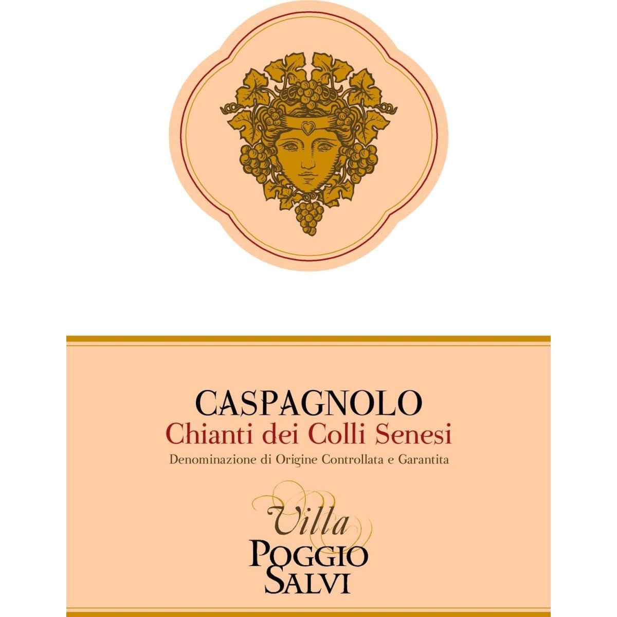 Villa Poggio Salvi Caspagnolo Chianti dei Colli Senesi 2022 | Wine.com