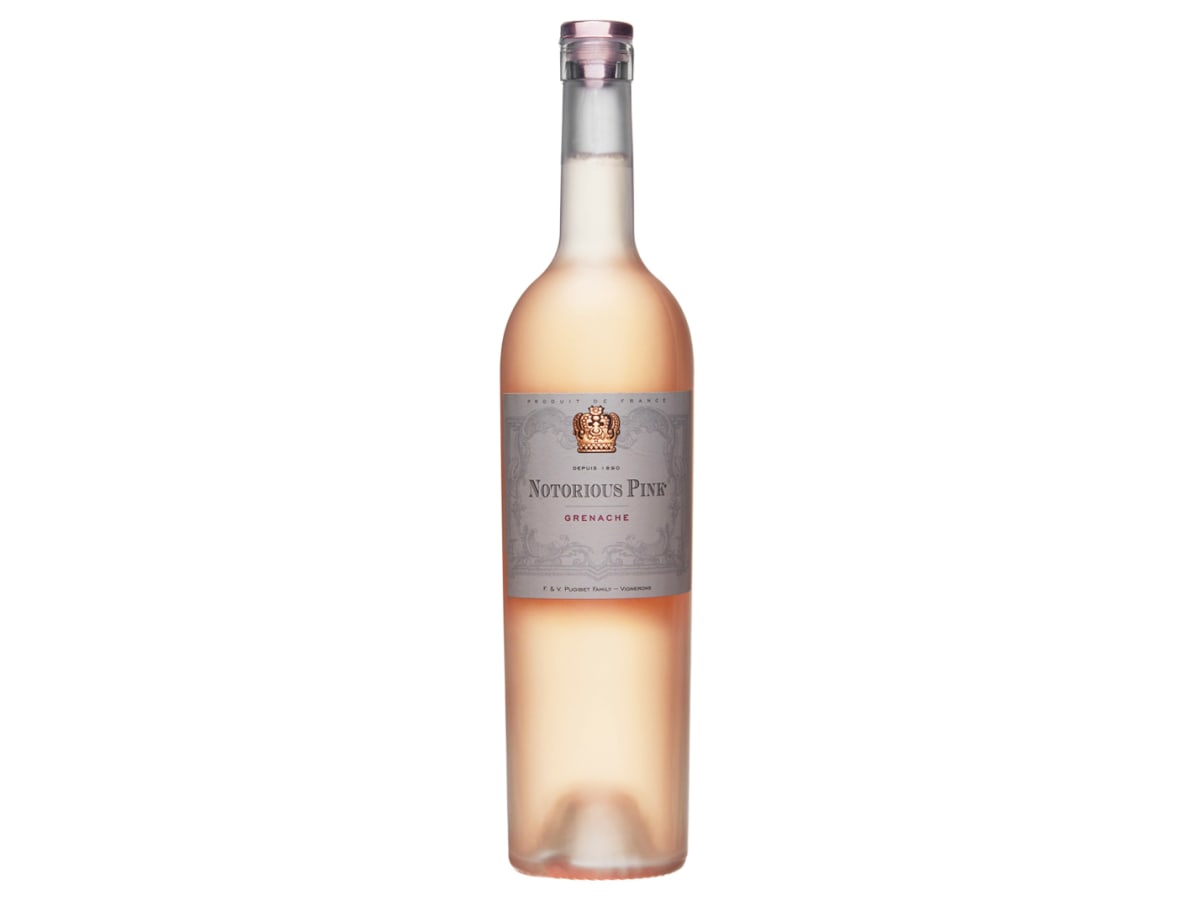 Notorious Wines Notorious Pink Rose 2024 | Wine.com