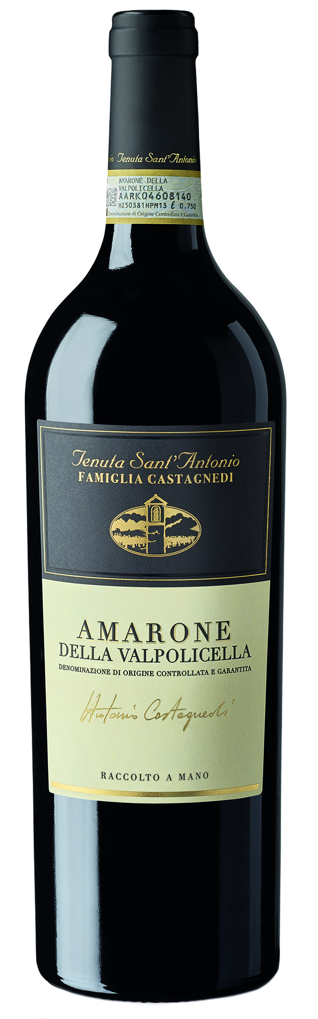 Tenuta Sant'Antonio Amarone Antonio Castagnedi 2020 | Wine.com