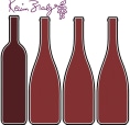 wine.com Kevin Zraly's One Hour Italian Red Wine Expert Tasting Kit  Gift Product Image