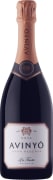 Avinyo La Ticota Gran Reserva Brut Nature Cava 2016  Front Bottle Shot