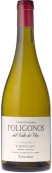 Zuccardi Poligonos del Valle de Uco Tupungato Semillon 2022  Front Bottle Shot