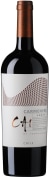TerraNoble CA1 Andes Carmenere 2017  Front Bottle Shot