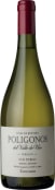 Zuccardi Poligonos del Valle de Uco San Pablo Verdejo 2021  Front Bottle Shot