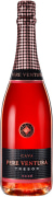 Pere Ventura Tresor Cava Rose Front Bottle Shot