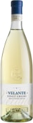 Bertani Velante Pinot Grigio 2023  Front Bottle Shot