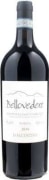 La Valentina Bellovedere Montepulciano d'Abruzzo Terre dei Vestini Riserva 2019  Front Bottle Shot