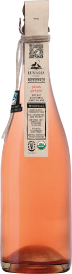 Cantina Orsogna Lunaria Pinot Grigio Pet Nat Ancestrale 2024 Front Bottle Shot