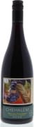 Chehalem Stoller Vineyard Pinot Noir 2012 Front Bottle Shot