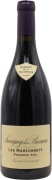 Domaine de la Vougeraie Savigny-les-Beaune Les Marconnets Premier Cru 2020 Front Bottle Shot