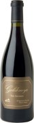 Goldeneye Ten Degrees Anderson Valley Pinot Noir 2013 Front Bottle Shot
