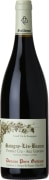 Domaine Pierre Guillemot Savigny-les-Beaune Aux Gravains Premier Cru 2021 Front Bottle Shot