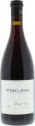 Terlato Family Vineyards Pinot Noir 2008 Front Bottle Shot