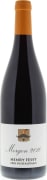 Henry Fessy Morgon 2010 Front Bottle Shot