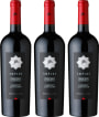 Santa Ema Amplus 90+ Point Cabernet Vertical Gift Product Image