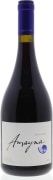 Amayna Pinot Noir 2011 Front Bottle Shot
