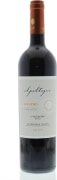 Apaltagua Envero Gran Reserva Carmenere 2012 Front Bottle Shot