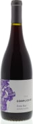 Complicated Pinot Noir 2013 Front Bottle Shot