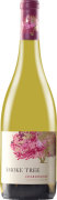 Smoke Tree Chardonnay 2016 Front Bottle Shot