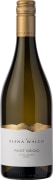 Elena Walch Pinot Grigio 2024  Front Bottle Shot