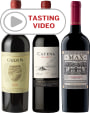 South American Wine Tour with Tasting Video Gift Product Image