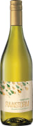 Rainstorm Pinot Gris 2022  Front Bottle Shot