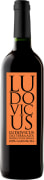 Pinol Ludovicus Tinto 2013 Front Bottle Shot