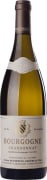 Bouzereau-Gruere Bourgogne Blanc 2020  Front Bottle Shot
