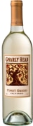 Gnarly Head Pinot Grigio 2015  Front Bottle Shot
