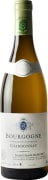 Domaine Jean-Claude Ramonet Bourgogne Chardonnay 2020  Front Bottle Shot