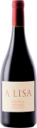 Bodega Noemia de Patagonia A Lisa Malbec 2022  Front Bottle Shot