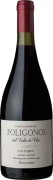 Zuccardi Poligonos del Valle de Uco San Pablo Malbec 2020  Front Bottle Shot