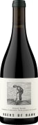 Rocks of Bawn Pinot Noir 2022 Front Bottle Shot