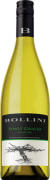 Bollini Pinot Grigio 2015 Front Bottle Shot