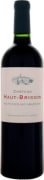 Chateau Haut-Brisson (375ML half-bottle) 2015 Front Bottle Shot