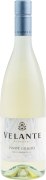Bertani Velante Pinot Grigio 2025  Front Bottle Shot