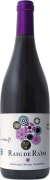 Pinol Raig De Raim Tinto 2021  Front Bottle Shot