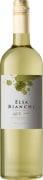 Elsa Bianchi Torrontes 2021  Front Bottle Shot