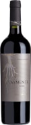 Huarpe Taymente Malbec 2017  Front Bottle Shot