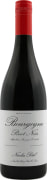 Nicolas Potel Bourgogne Pinot Noir 2023  Front Bottle Shot